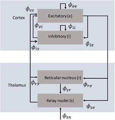 Modal-Polar Representation of Evoked Response Potentials in Multiple Arousal States